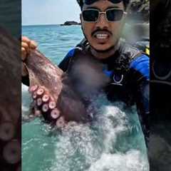 Octopus Attack 😱.... #aivideo #shortsfeed #shorts #ytshorts #viral  #scubadiving #octopus