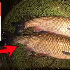 This SUPERMARKET BAIT will catch you fish!