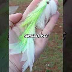 Fly fishing is better than conventional tackle?!?!? #fishing #shorts #flyfishing #bassfishing