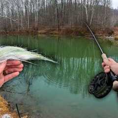 Fly Fishing With HUGE Streamers for Musky! || 4 Days of Action - Musky Hunt Ep 8