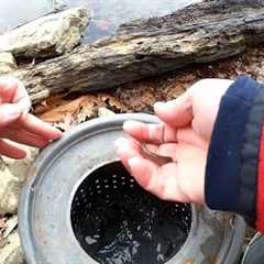 I Tried Fishing With Live MINNOWS and This Is What Happened