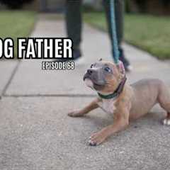 The Dog Father: Love's First Walk (Ep. 68)