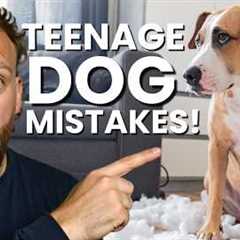 The BIGGEST Mistakes Owners Make With Teenage Dogs