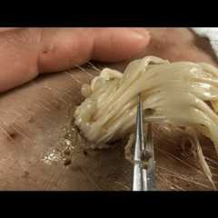 𝑻𝒉𝒆 𝑩𝒆𝒔𝒕 𝑭𝒂𝒄𝒊𝒂𝒍 𝑪𝒍𝒆𝒂𝒏𝒔𝒊𝒏𝒈 𝑹𝒆𝒍𝒂𝒙𝒊𝒏𝒈 & 𝑺𝒂𝒕𝒊𝒔𝒇𝒚𝒊𝒏𝒈 𝒇𝒐𝒓..