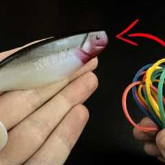 Soft Bait Mod Every Angler Should Try!
