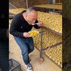 Building Wooden Log Cabin in Forest 🌲🎈 | Survival House Step by part15 #shorts