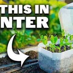Why Smart Gardeners Plant These 12 Crops in Winter