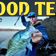 “If They Won’t Bite… This Rig Test NEVER Fails”