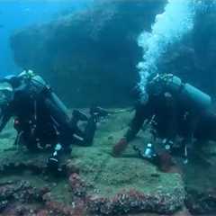 Divers React to Scuba diving gone wrong in the Galapagos