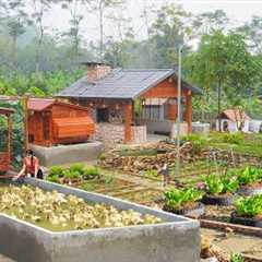 Full Video - 45Days Building Many Creative Cage To Raise Ducks, Geese - Growing Vegetable