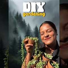free DIY gardening ideas 💡🌱 #shorts #minivlog #bengali #lifestyle #gardening