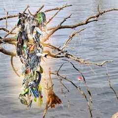  Hundreds of Dollars Worth of Fishing Lures Found Every Year! How-to