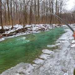 Fly Fishing For GIANT Fish in a Tiny Creek - Andrew's First Erie Steelhead