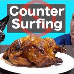 How To Stop Dog Counter Surfing - Professional Dog Training Tips