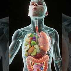 What Happens Inside Your Body When You Eat Fruits & Vegetables? | 3D Digestion Animation