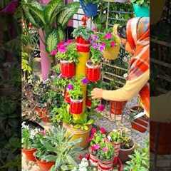 pituniya flowers care #song #nairakajahan #trending #ytshorts #gardening #flowers