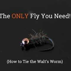 The ONLY Trout Fly You Need - How to Tie the Walt's Worm