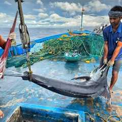 WOW! The Fifth Day We Stayed In The Deep Sea And Caught A Lot Of Big Fishes | Day-05 | S07-EP05