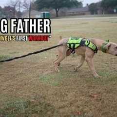 The Dog Father: Mowgli's First Workout (Ep. 70)