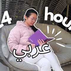 24 hour INTENSE Arabic learning and immersion (polyglot routine and speaking vlog) 🇯🇴🇹🇳🇸🇾