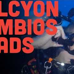 Halcyon Symbios Part 2: Heads Up! Your Dive Data At A Glance