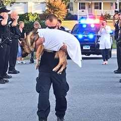 K9 Police Dogs Funeral Processions  Thank You for Your Service | top best dog training techniques
