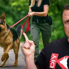 3 Mistakes That Reinforce Your Dog's Reactivity & Aggression