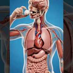 What Happens If Garlic Enters Inside Your Body | Digestion Animation | #healtheffects #sideeffects