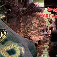 I Got a PRIVATE TOUR of the WORLDS TOP REPTILE ZOO!