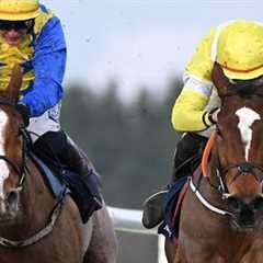 1/4F Bambino Fever downed by Cheltenham hope Oldschool Outlaw | Racing TV