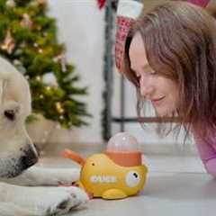 Funny Attempts to Teach My Dog How to Push a Button