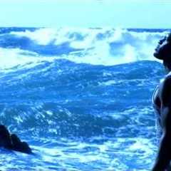 MMX - The Social Song | ENIGMA (Official Video)