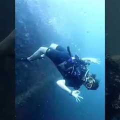 Phuket Dive Tour Scuba Diving Phuket Thailand #scubadiving #adventuresport #travel #scubadivingtrip