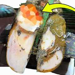 a HEAL full of FLUID??