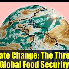 Climate Change: The Threat to Global Food Security | Extreme Weather & Crop Yields