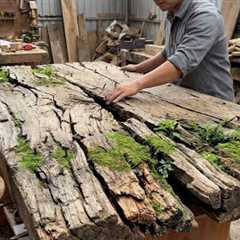 The Silent Beauty: When an Aged Cracked Log Becomes Art