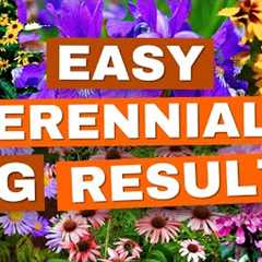 NEW to Gardening? Start with These 20 EASY Perennials! ✅
