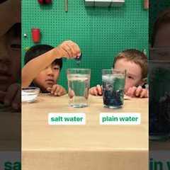 Salt-water trick | chemistry experiment at home with food coloring