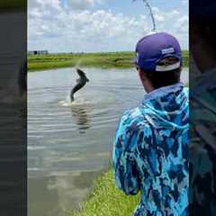 200lb Florida Pond Monster