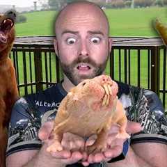 10 Most Dangerous Exotic Pets People Actually Have!