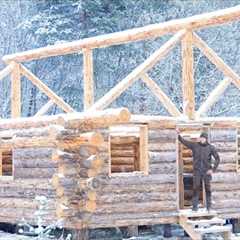 1 Year Alone Building a Log Cabin ​​In The Forest With My Dog / Start to Finish