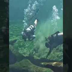 How to scuba dive Blue Spring State Park in Florida