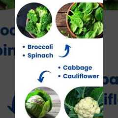 Super Foods for People Suffering from Arthritis