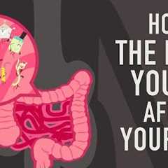 How the food you eat affects your gut - Shilpa Ravella