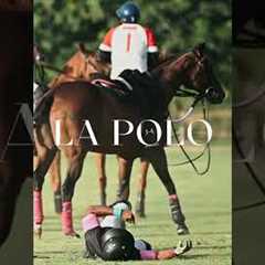 Dangerous polo sport video #shorts #sports #polo #lapolo
