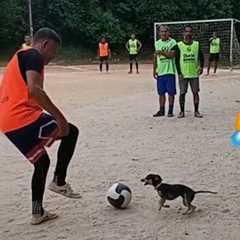 Best Football Videos Of 2025 ⚽️ Funny Moments, Fails, Skills & Goals #23