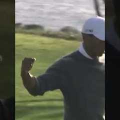 Tiger Woods:  Best Of Torrey 🔥 #pga #tigerwoods #highhandicapgolf #shorts