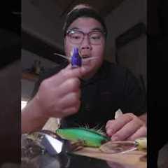 Is this the best top water bait of all time?