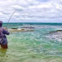 Beach Fishing Tailor Big Fish HARD Work