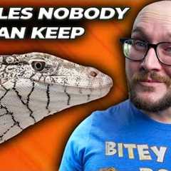 5 Reptiles NOBODY Can Own as Pets! Get These Instead!